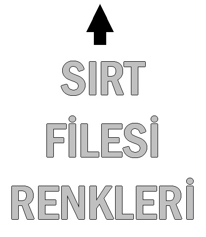 Sırt Filesi